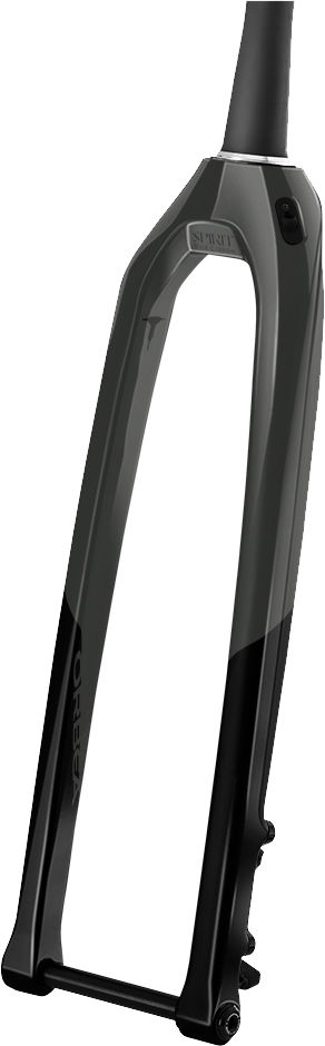 orbea rigid fork
