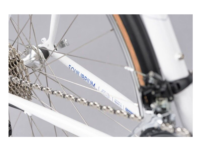 GENESIS Equilibrium click to zoom image