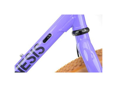 GENESIS Croix De Fer 725 Frameset click to zoom image