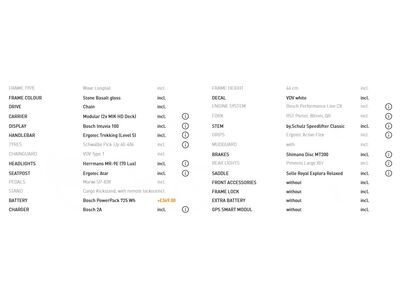VELO DE VILLE LOADY 900 20" 5 speed Shimano Nexus One size Stone Basalt Gloss  click to zoom image