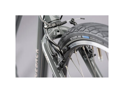 RIDGEBACK Velocity click to zoom image