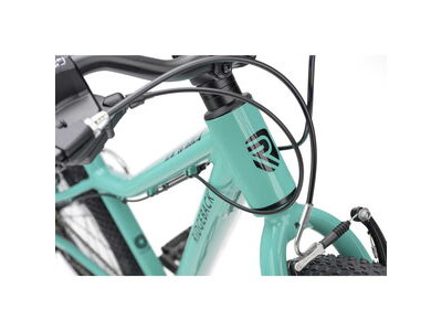 RIDGEBACK MX24 Mighty Mint click to zoom image