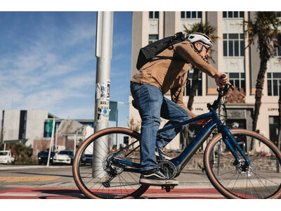 MARIN DSX E click to zoom image