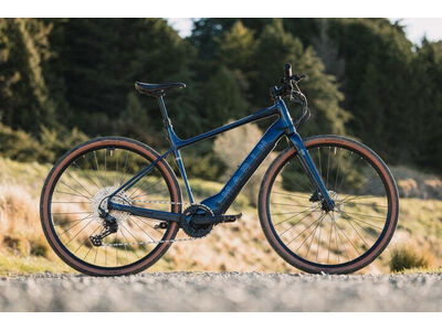 MARIN DSX E click to zoom image